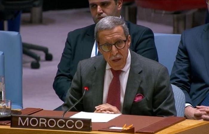 Hilale outlines royal strategy to combat terrorism in Africa at the UN