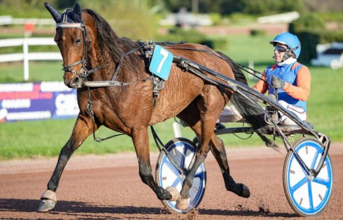 Prix ​​d’Amérique Legend Race: 19 remaining