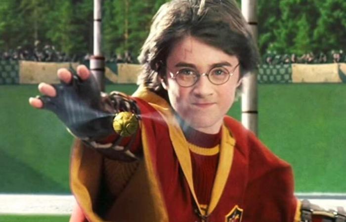 A famous actor from the Harry Potter saga will be present in Lyon in February