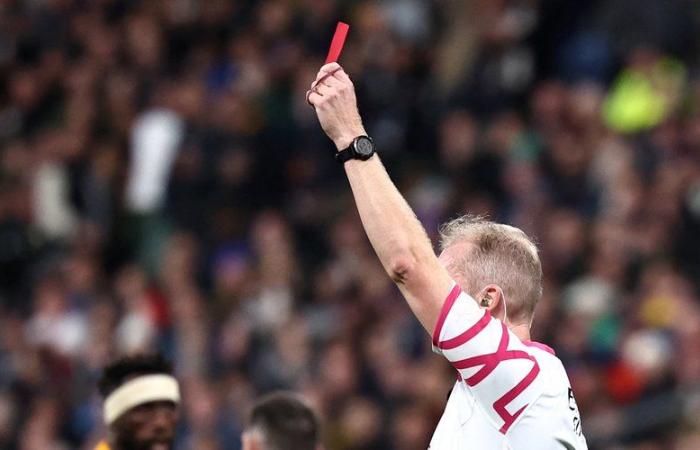 XV of France: the 20-minute red card put in place during the Six Nations Tournament