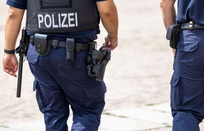 Germany: deadly attack in Aschaffenburg, two dead including a child in a public park