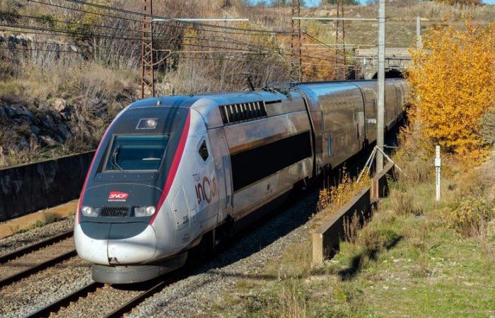 It's D-day: the SNCF opens its ticket office for the May bridges and the Easter holidays and there won't be something for everyone