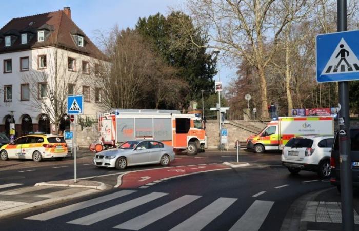 Germany: two dead including a child in a knife attack in a park