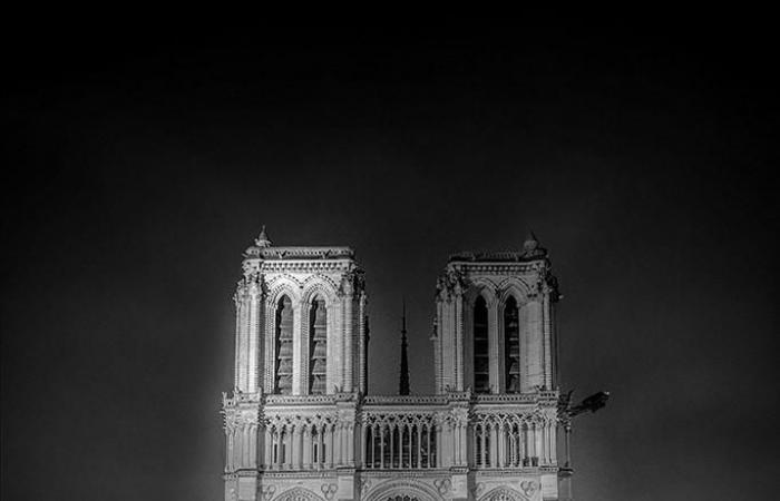 Danica O. Kus: Notre-Dame de Paris