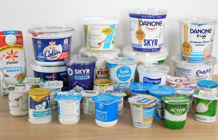 Skyr, petit-suisse… (video) – Which dairy product should you choose for your health? – News