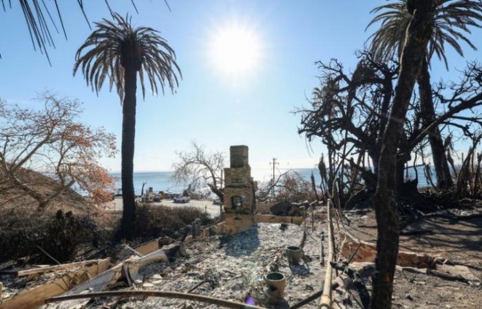 “That’s all I had”: in Los Angeles, the panic of uninsured fire victims – 01/22/2025 at 11:17