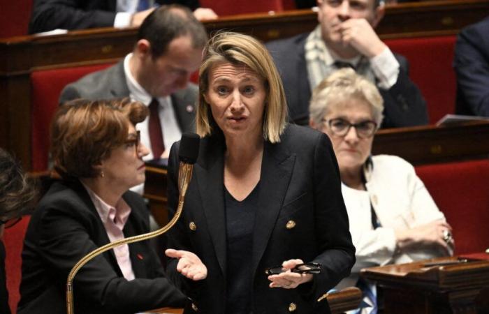 Taxing retirees to finance social protection, Labor Minister Astrid Panosyan-Bouvet brings out Emmanuel Macron's old whims