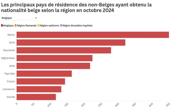 More than 5,000 “new Belgians” in one month: where do they come from?