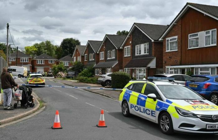 United Kingdom: suspect in triple crossbow and knife murder pleads guilty