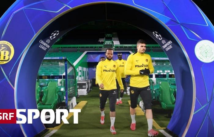 Champions League on Wednesday – YB visits Celtic Glasgow: For honor and finances – Sport