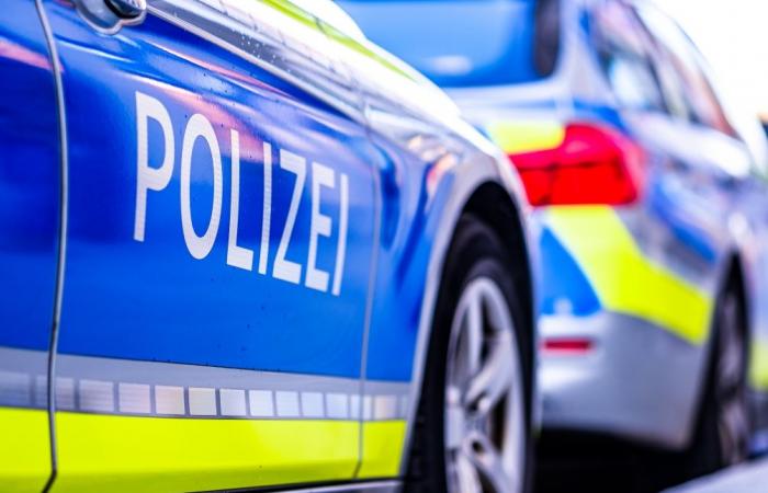 Knife attack in Germany: two people, including a child, reportedly lost their lives