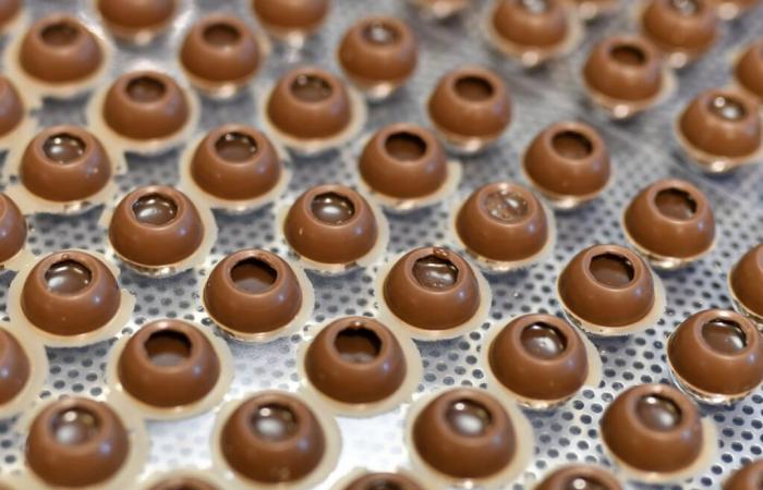 Chocolate. Barry Callebaut suffers a drop in volumes in the first partial – La Liberté