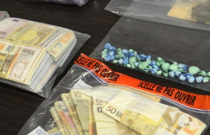 : Franceinfo investigation “Huge sums in cash”, false invoices and Lotto tickets… Faced with drug trafficking and money laundering, how to “hit the traffickers in the wallet”?