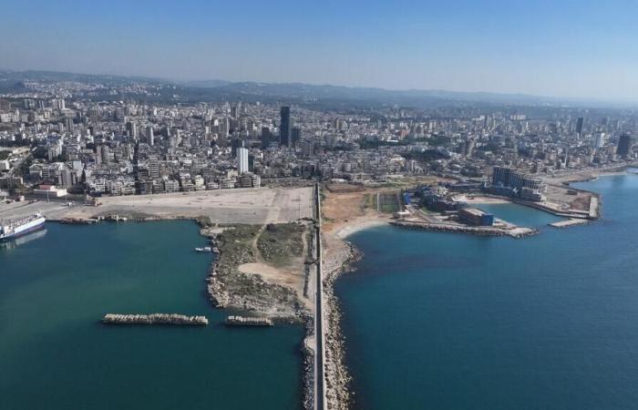 The new Syrian government cancels its commercial exploitation contract for the port of Tartous with Russia