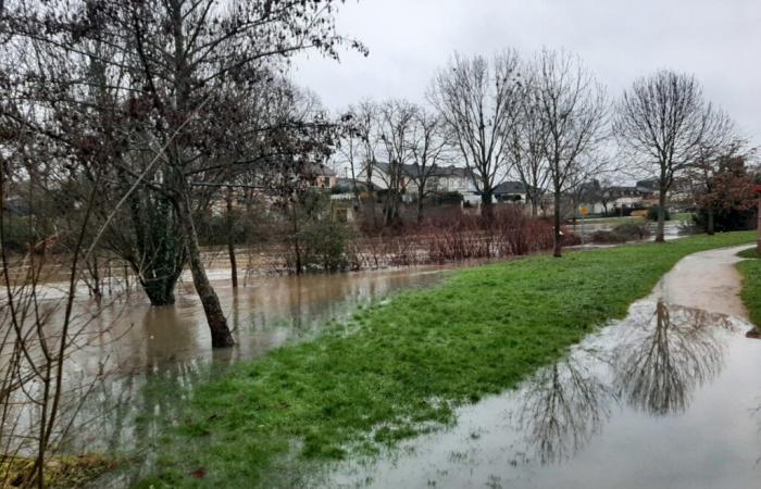 30 years after the floods of 1995, where are we in Le Mans today?