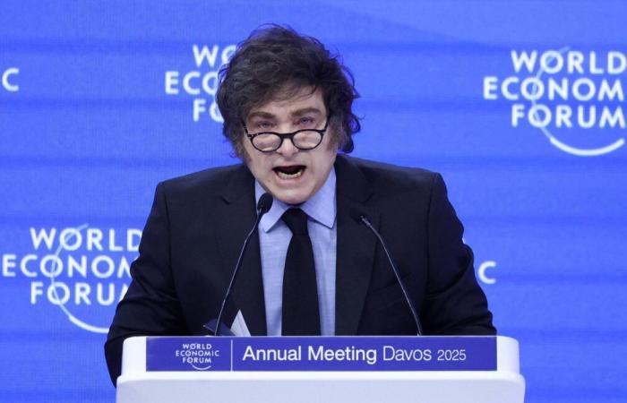 In Davos, Argentine Milei denounces the “socialist agenda” that gangrenes the West