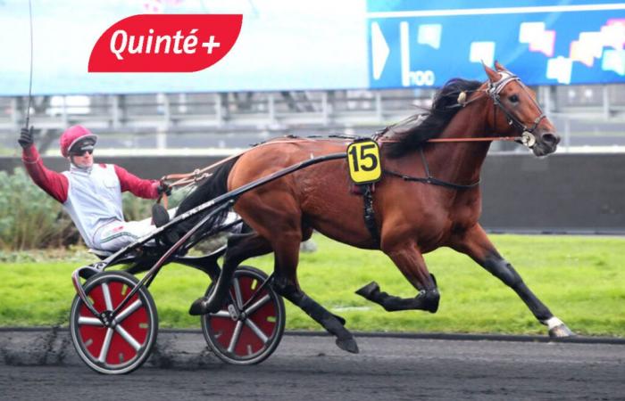 a punter from Nice wins €112,197 at Quinté+ Max