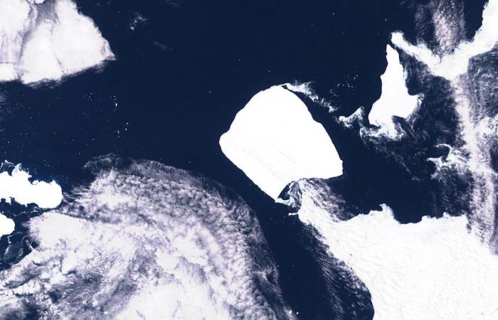 World’s biggest iceberg A23a drifting towards penguin-packed island