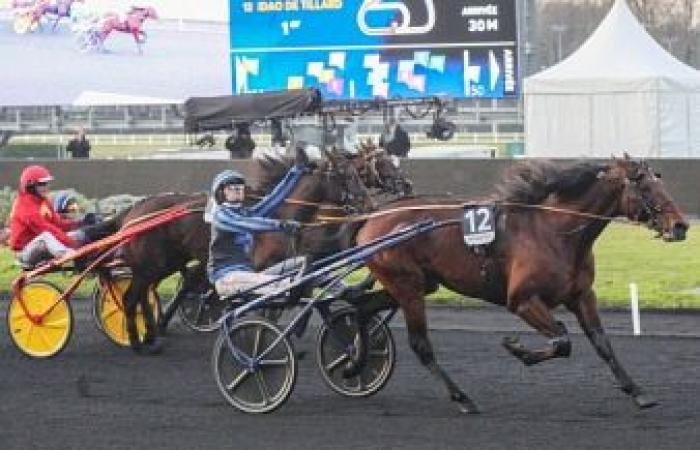 Prix ​​of America Legend Race: 18 runners to conquer the Grail – Trot