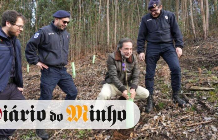 Braga launches pilot reforestation project to fight fires