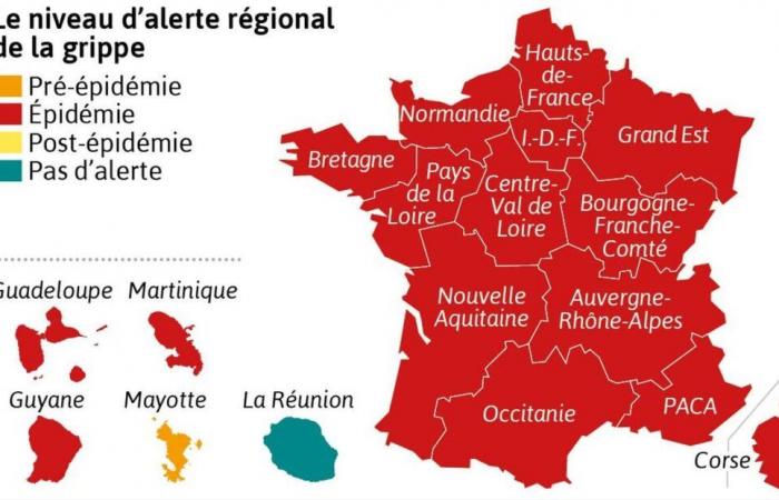 MAP. Flu in France: the epidemic remains intense, particularly among children – South West