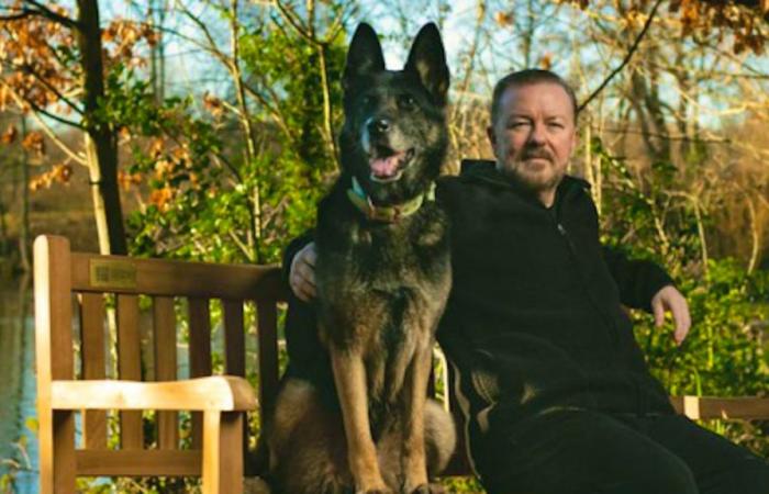 Ricky Gervais mourns the loss of his dog Anti, star of After Life