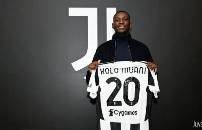 Mercato: Juventus formalizes Kolo Muani and what it will pay PSG