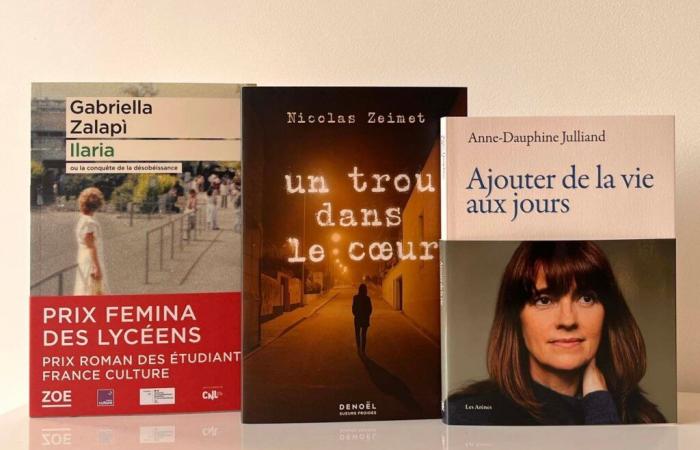 Grand Prix des Lectrices 2025: the 3 new books joining the selection (4/8)