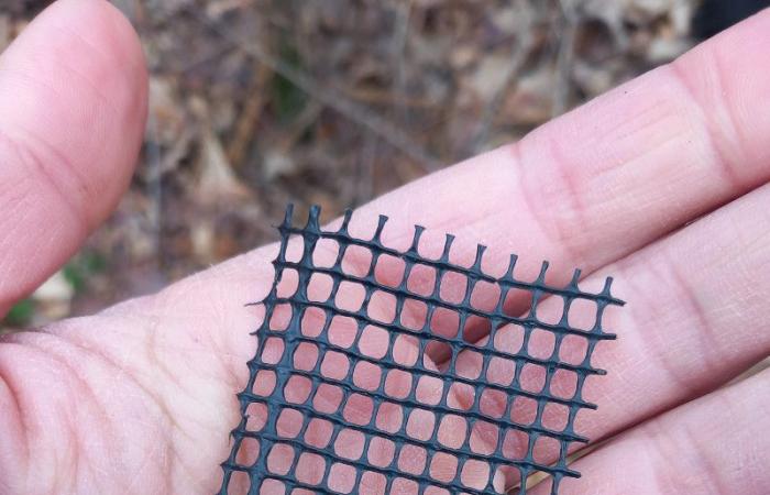 Tons of plastic pollute the forests of Yvelines