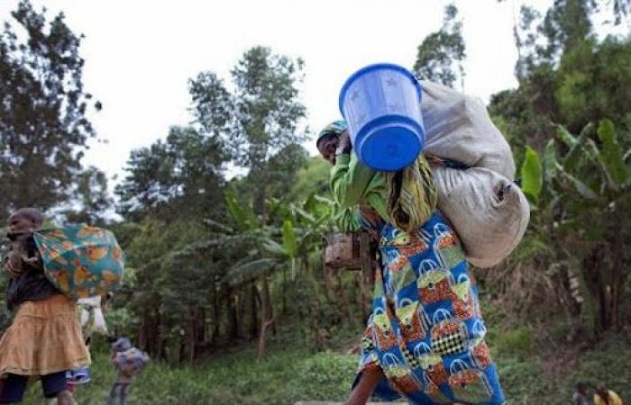 Sake, this strategic point linking Goma to the mining areas of western North Kivu