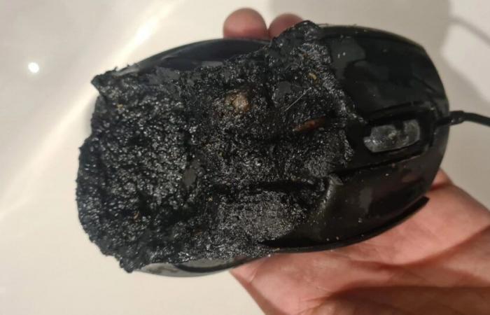 A gaming mouse over fire, almost caused a fire in an apartment