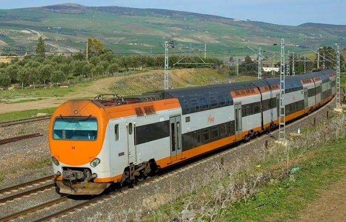 Morocco ready to export wagons to Europe and Africa by 2040?