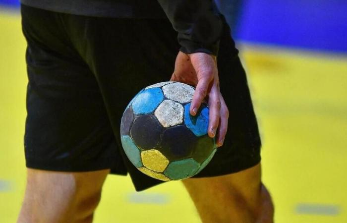 Loire Atlantique – Handball. The Pays de la Loire league says stop violence and incivility