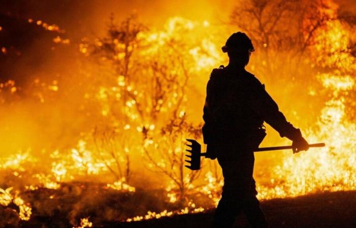 ON VIDEO | Firefighters make progress against new fire near Los Angeles