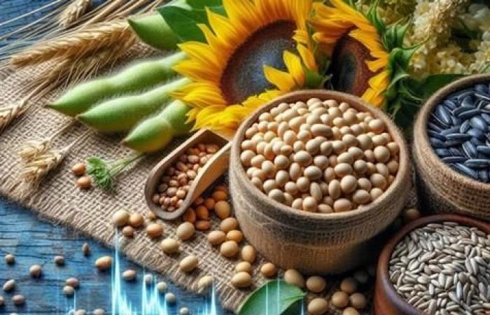 COT’Hebdo Oilseeds | Donald Trump boosts soybean prices and operators monitor South American weather