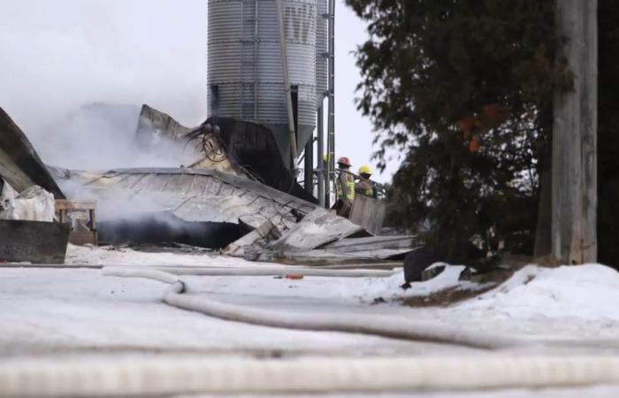 Farmer’s life shattered after his 40 cows die in fire