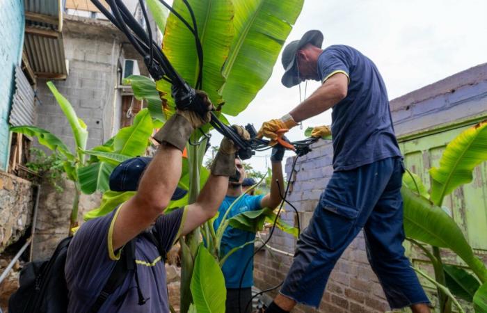 Swore. 4 Jura residents mobilized in Mayotte to repair the electricity network | Jura: all the local information