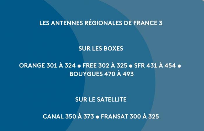 Sports challenges in February on the regional channels of France Télévisions