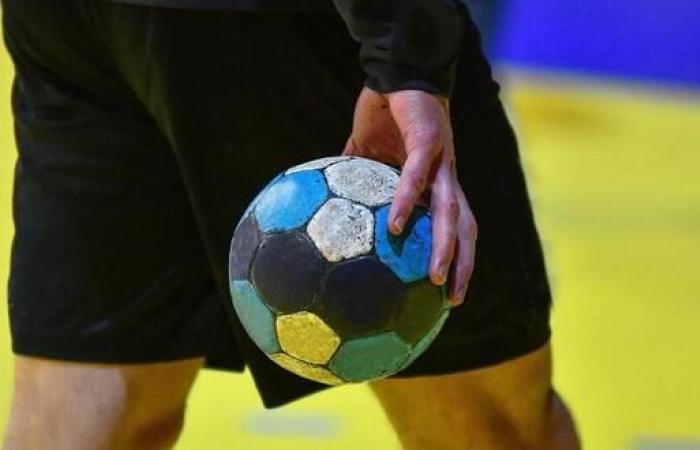 Loire Atlantique – Handball. The Pays de la Loire league says stop violence and incivility