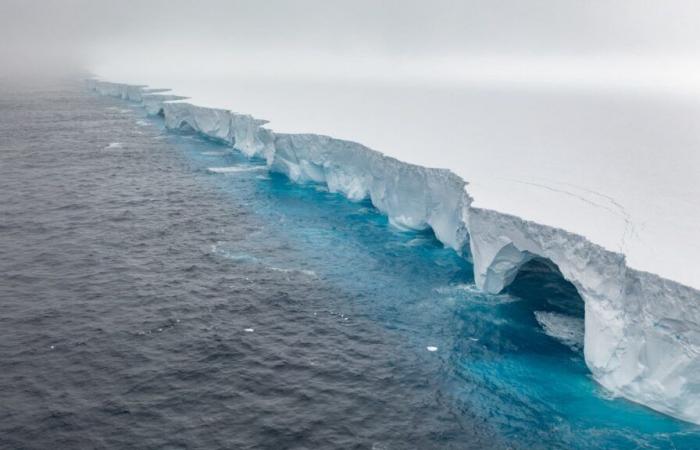 Penguins, seals… The largest iceberg in the world is heading straight towards an island, its fauna threatened