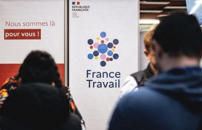 France travail reform: guidance for job seekers