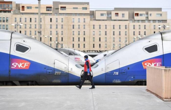 The Saint-Charles train station in Marseille is at a standstill due to a