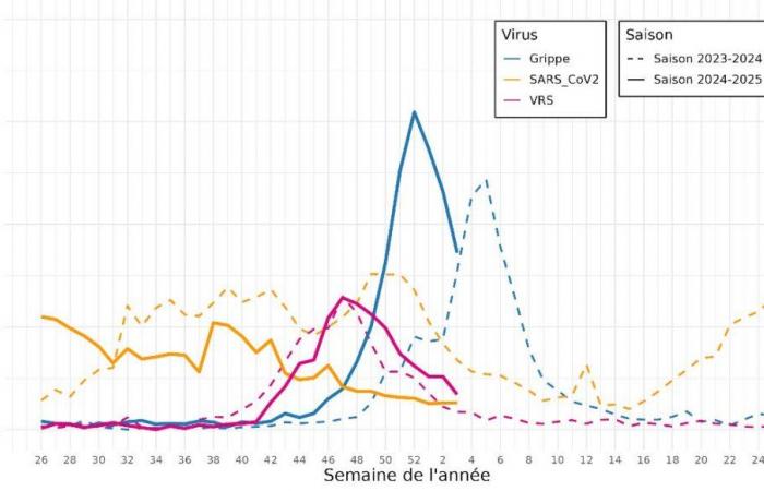 Health in Val-de-Marne #19: new CPTS in Villejuif / Flu epidemic