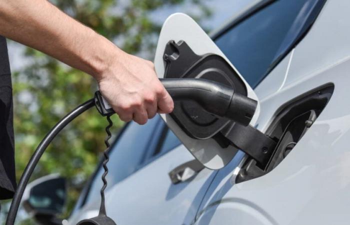 the price of electrics and hybrids drops by 17%!