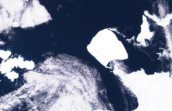 A23a: Fears that the world’s biggest iceberg could hit island in the South Atlantic