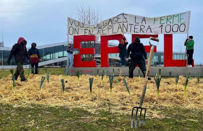 Lausanne: Students want to keep the farm on their campus