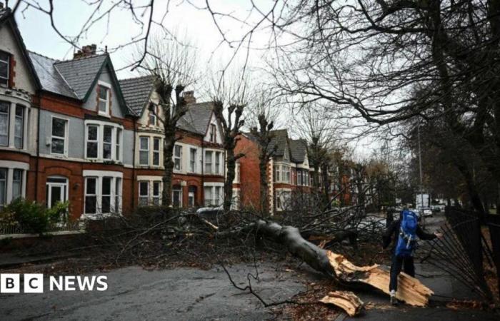 Storm Éowyn: Rare red weather warning issued for wind