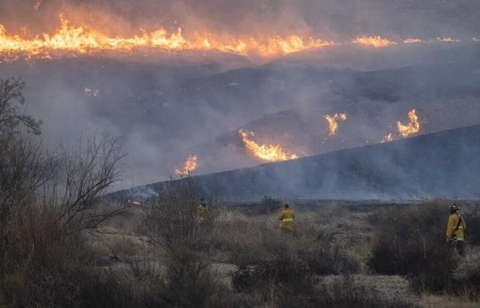 Fires in Los Angeles: a couple of fake firefighters suspected of having wanted to loot