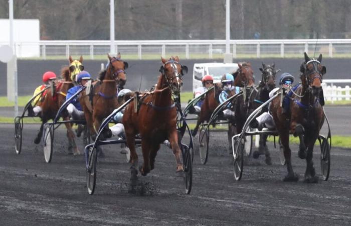 Arrival of the quinté on Thursday January 23 at Paris-Vincennes: Ibis Pettevinière takes advantage of the deals