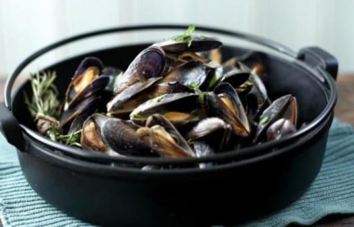 An alert in Dakhla: more than 40% of contaminated mussels banned for sale – Consonews